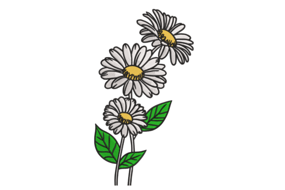 Charming Sketch Daisy Trio – Modern Botanical