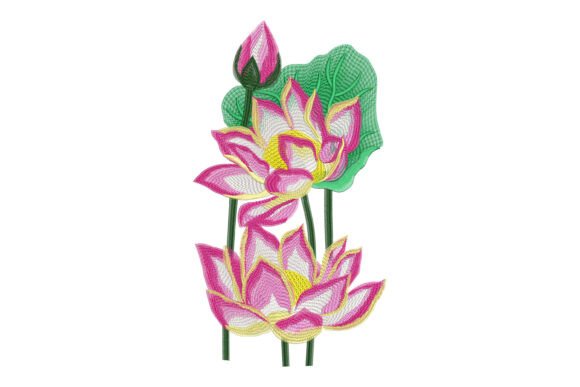 Sacred Lotus Garden: A Seasonal Designer’s Review